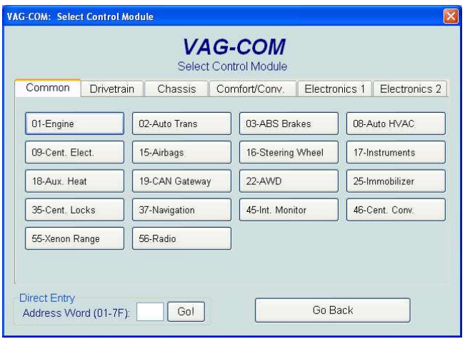 Vag Option Codes